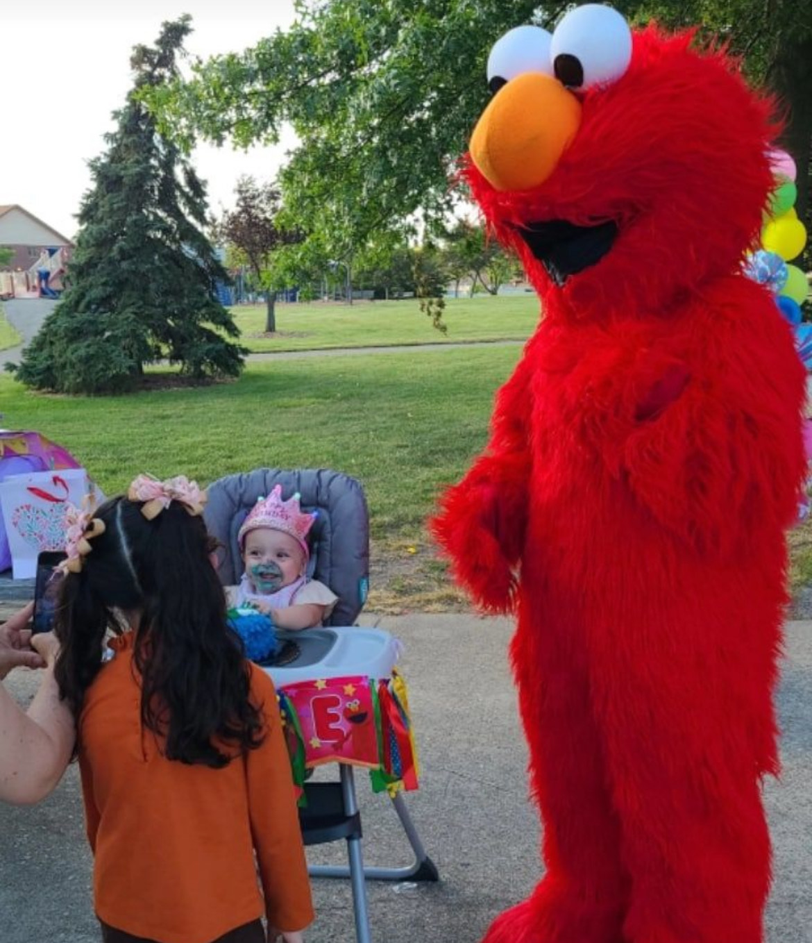 Elmo party entertainment Boise